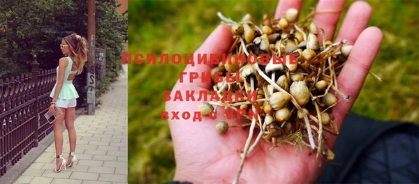 ALPHA PVP Заводоуковск